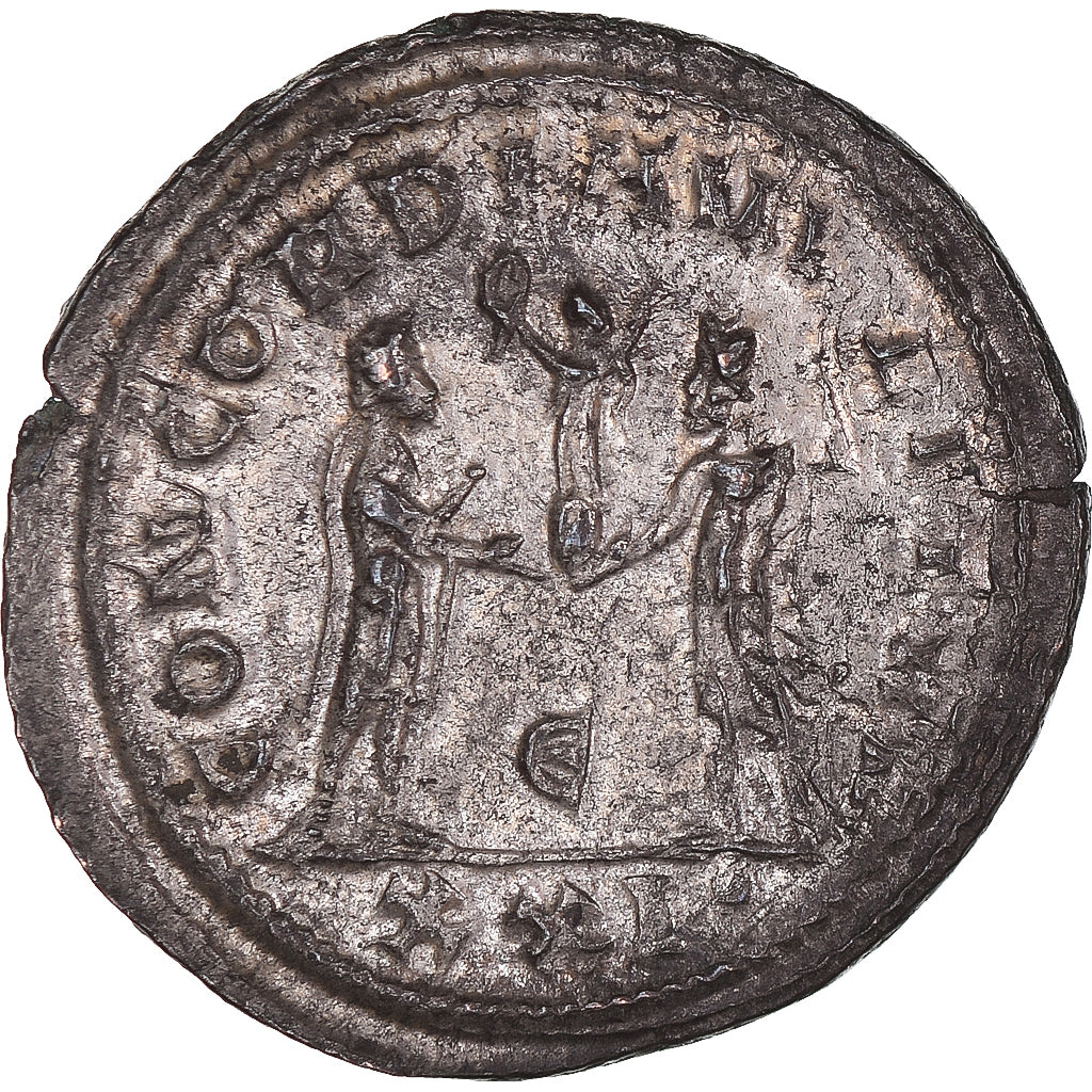 Coniare,
Massimiano Ercole,
Antoniniano