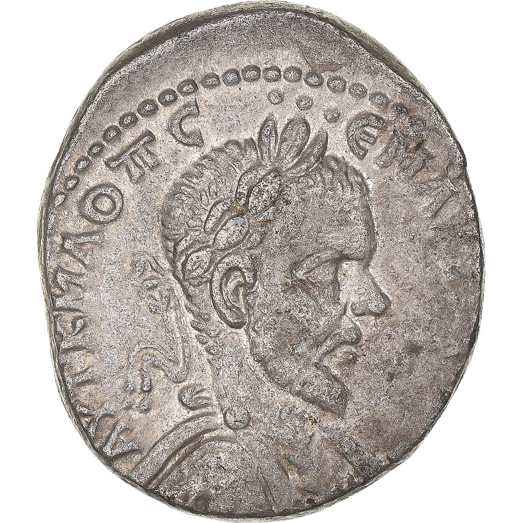 Coniare,
Cirrestica,
Macrino