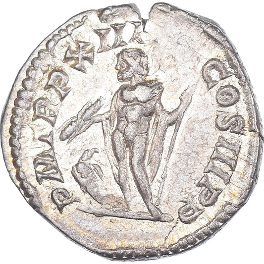 Coniare, 
  
  Settimio Severo, 
  
  Denario