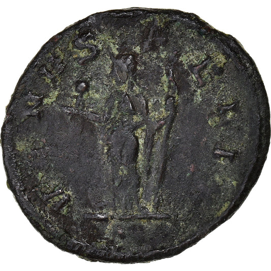 Coniare, 
  
  Severina, 
  
  Denario