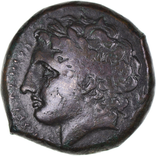 Moneta,

Sicilia,

Hiketas II