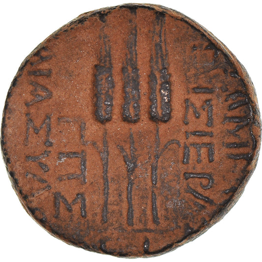 Moneta,

Seleuce e Pieria,

Bronzo