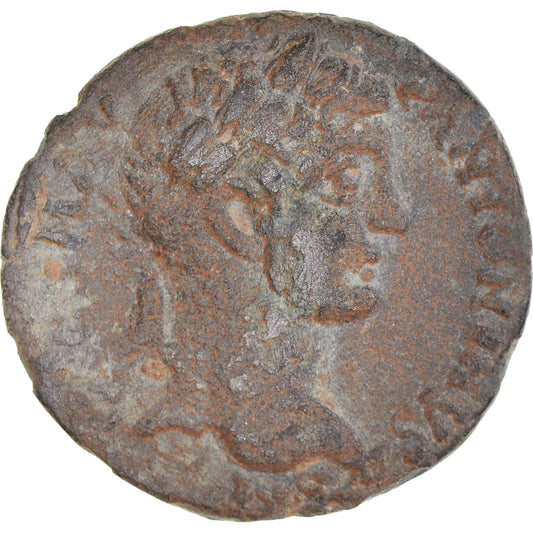 Moneta,

Pisidia,

Elagabalo
