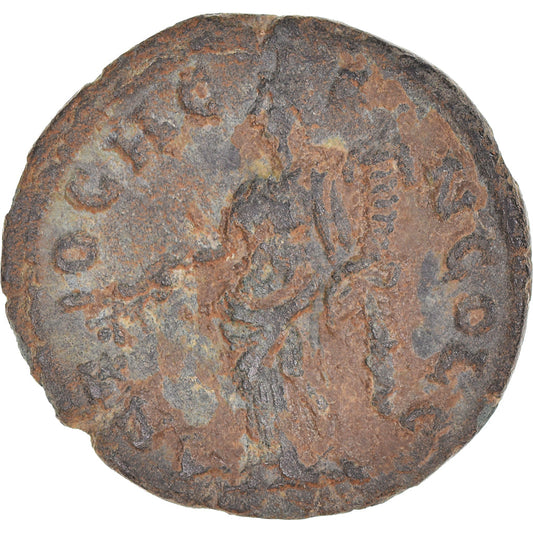Moneta,

Pisidia,

Elagabalo