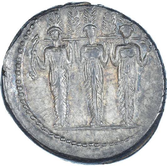 Accoleia, 
  
  Denario, 
  
  43 a.C