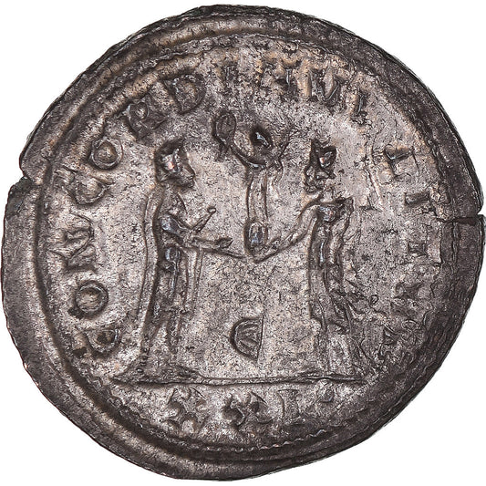 Coniare, 
  
  Massimiano Ercole, 
  
  Antoniniano
