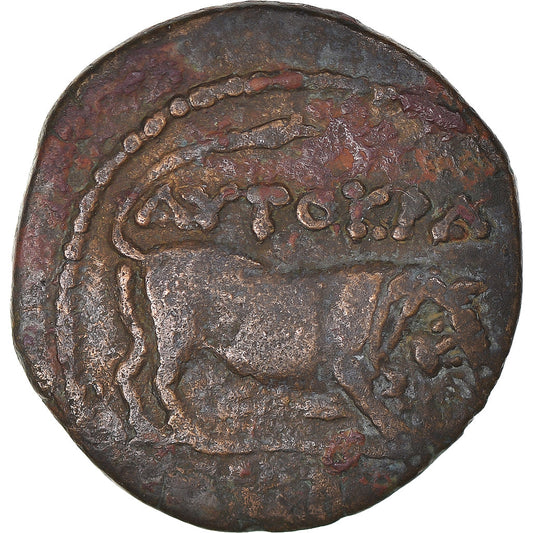 Moneta,

Egitto,

Claudio
