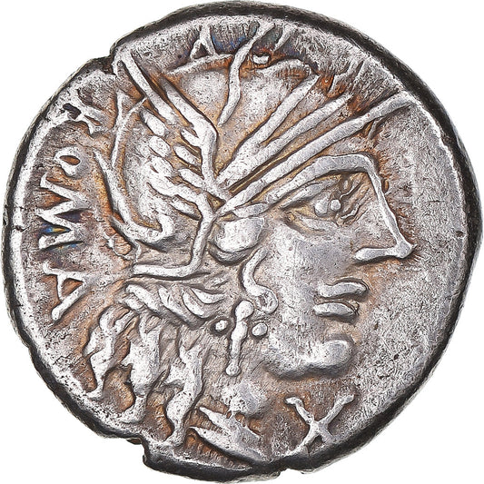 Coniare, 
  
  M. Fannio C.f., 
  
  Denario