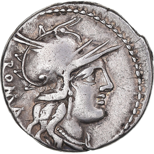 Coniare, 
  
  M. Tullio, 
  
  Denario