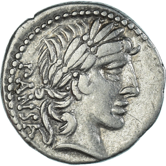 Coniare, 
  
  C. Vibius C.f. Pansa., 
  
  Denario