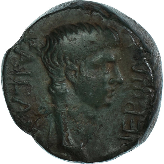 Moneta,

Lidia,

Nero