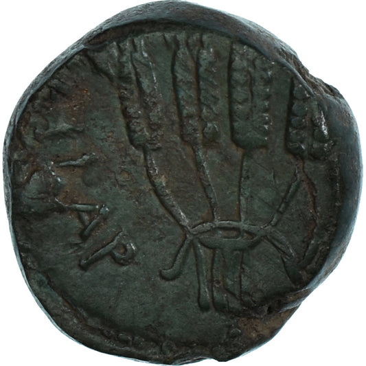 Moneta,

Lidia,

Nero