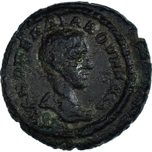 Coniare, 
  
  Mesia Inferiore, 
  
  Diadumeniano