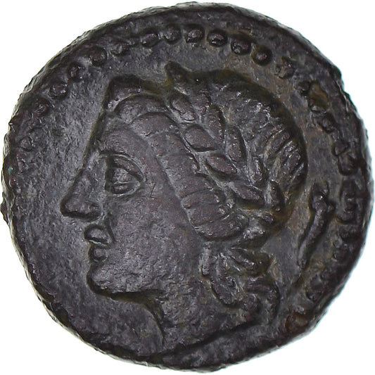Moneta,

Sicilia,

Æ