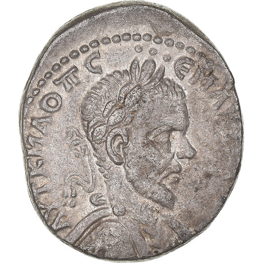 Coniare, 
  
  Cirrestica, 
  
  Macrino