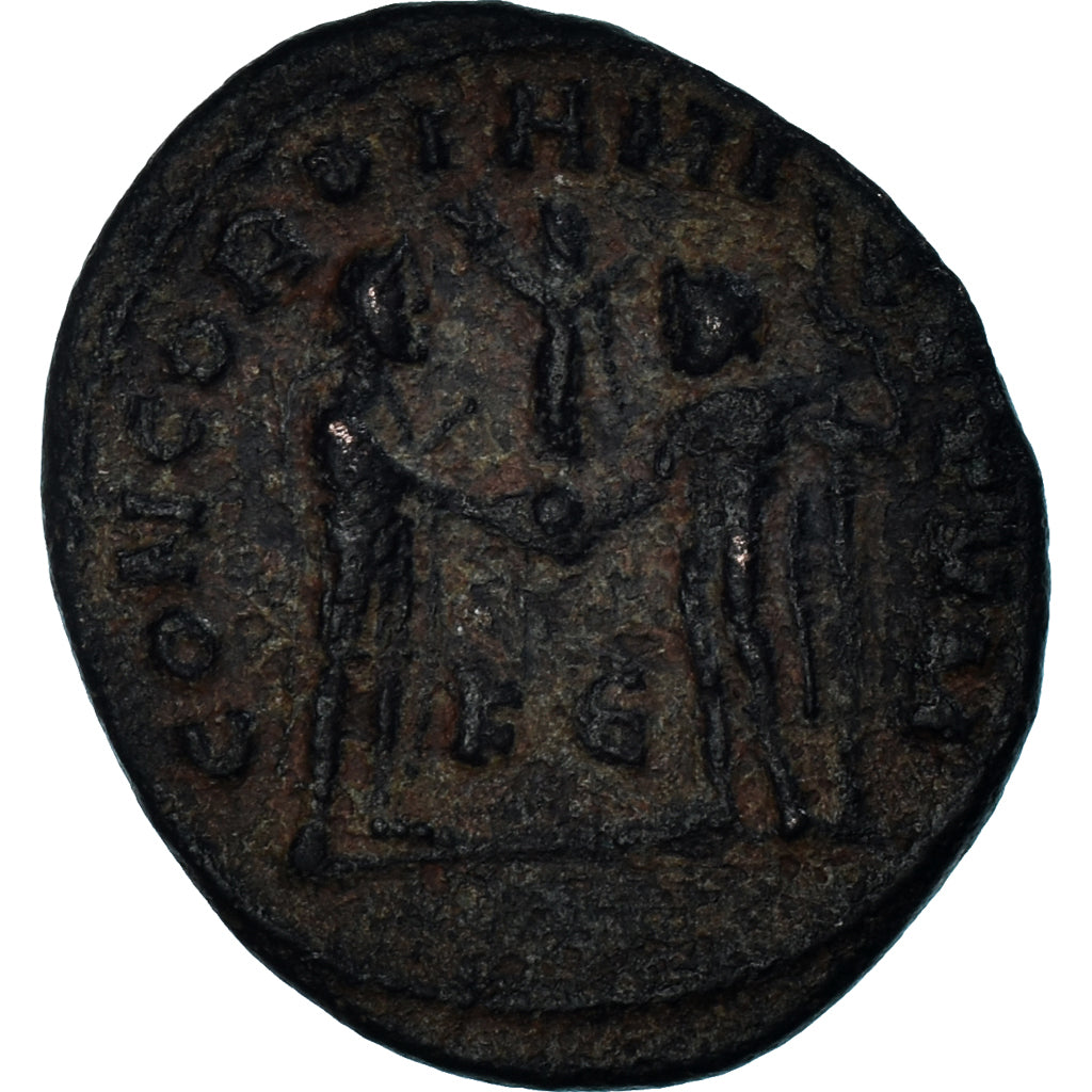 Coniare, 
  
  Massimiano, 
  
  Follis