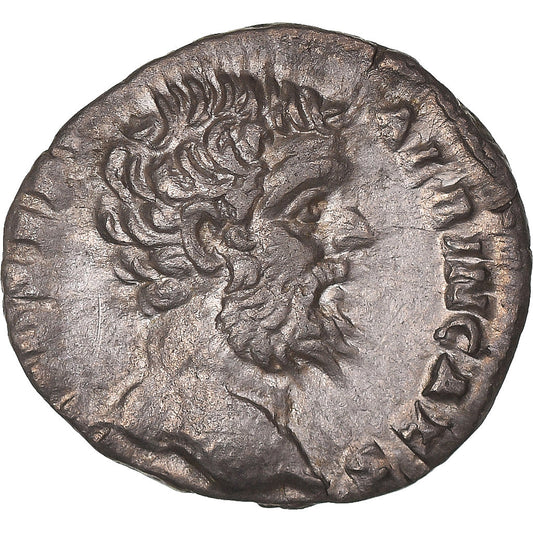 Coniare, 
  
  Clodio Albino, 
  
  Denario