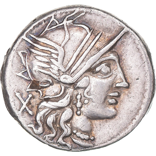 Coniare, 
  
  Pluzia, 
  
  Denario