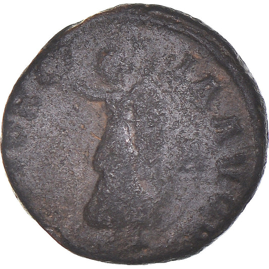Coniare, 
  
  tempo di Massimino II, 
  
  Follis